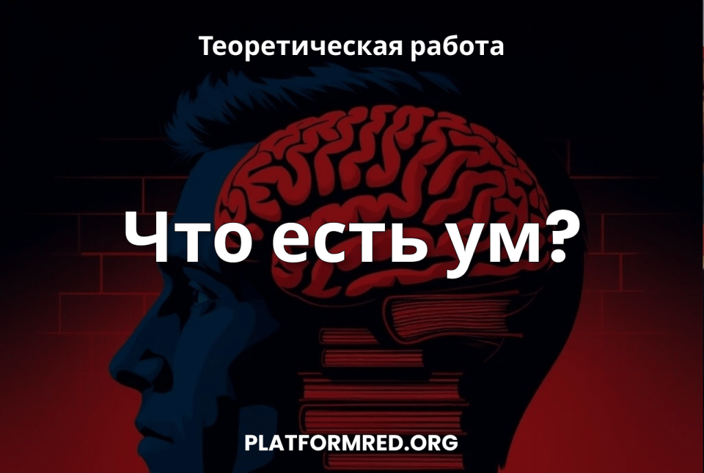 Что есть ум?
